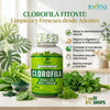 gomitas-clorofila-fitovit-digestion-inflamacion