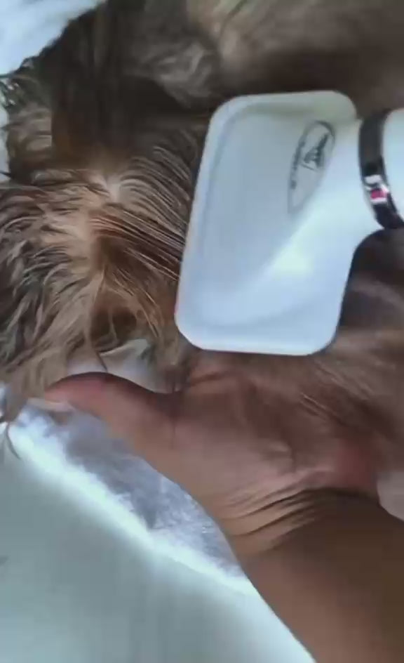 Cepillo Secador para Mascotas 2 en 1 – Seca y Peina a Perros y Gatos Sin Estrés